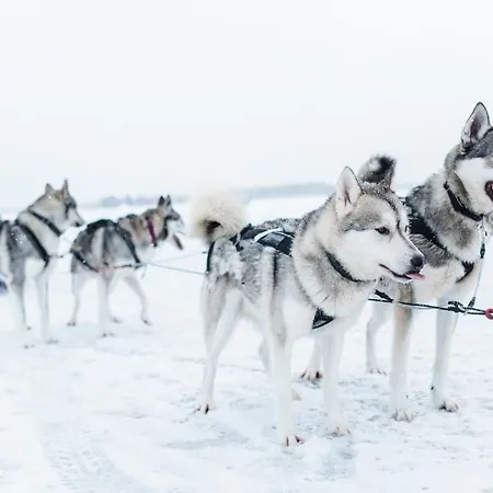 Lomahuoneisto Kalajoen Hiekat C 6 * 卡拉约基