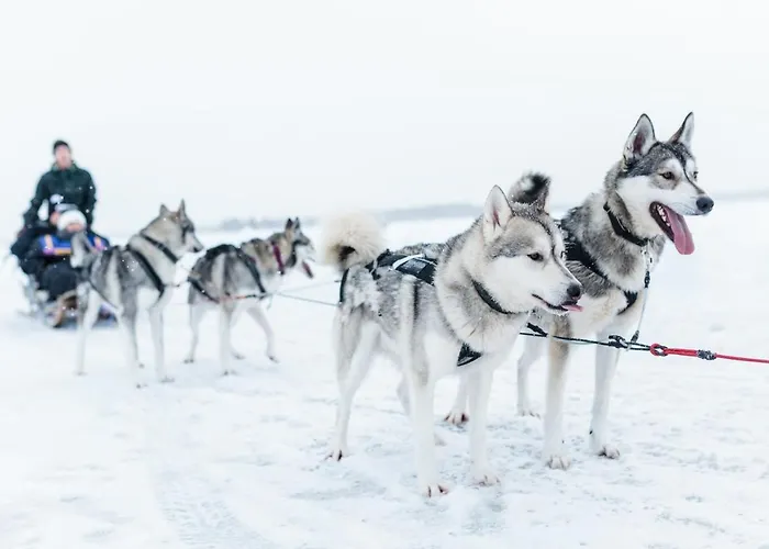 Lomahuoneisto Kalajoen Hiekat C 6 * Kalajoki
